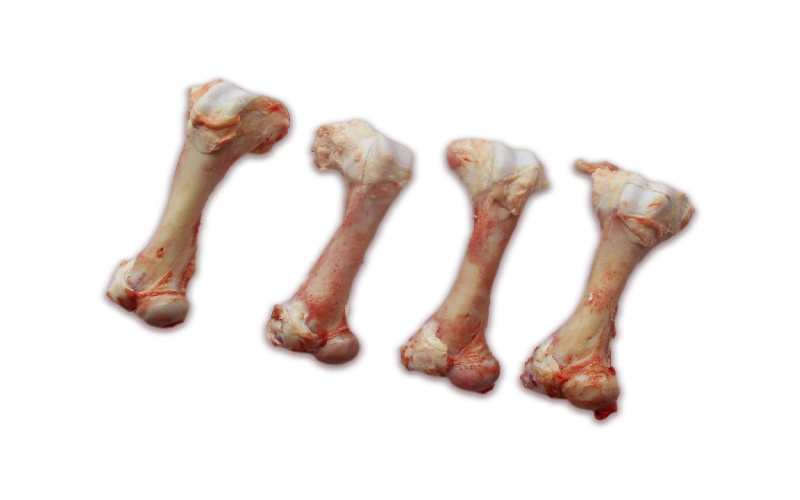 Frozen Pork Femur Bones suppliers