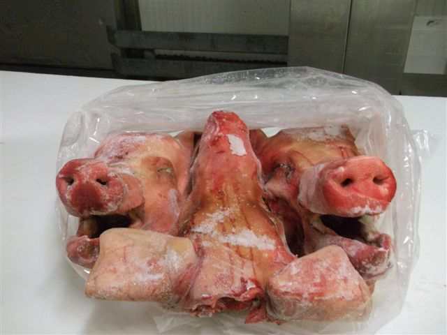 frozen pork head suppliers