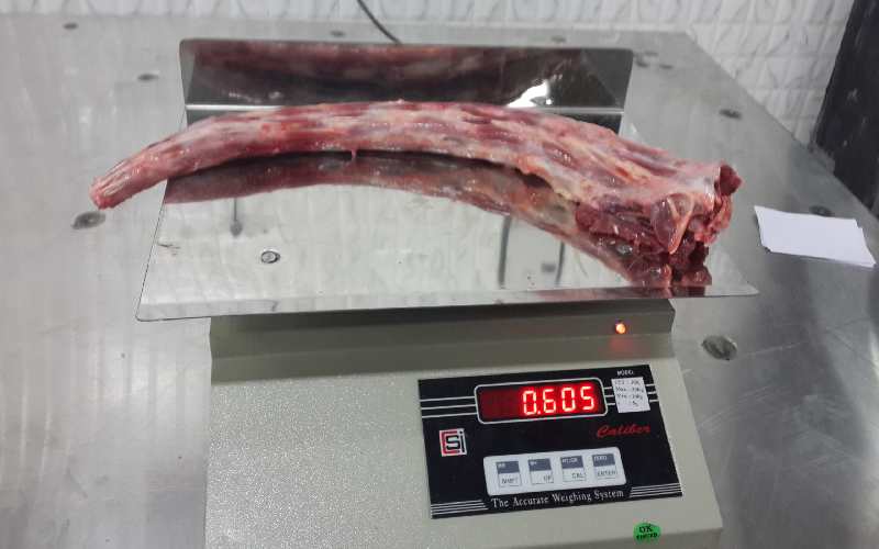 frozen beef tail suppliers