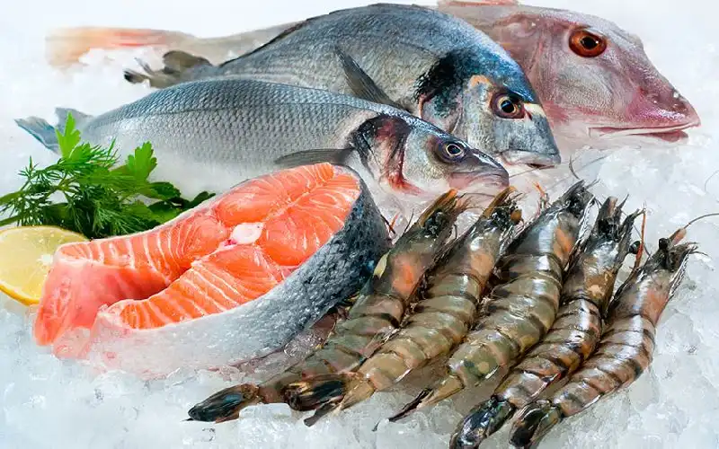 Frozen Seafood suppliers